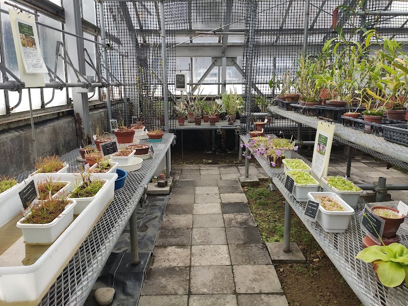 北海道大学 植物園 温室