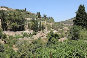 Battir’s Terrace - UNESCO’s World Heritage Site image