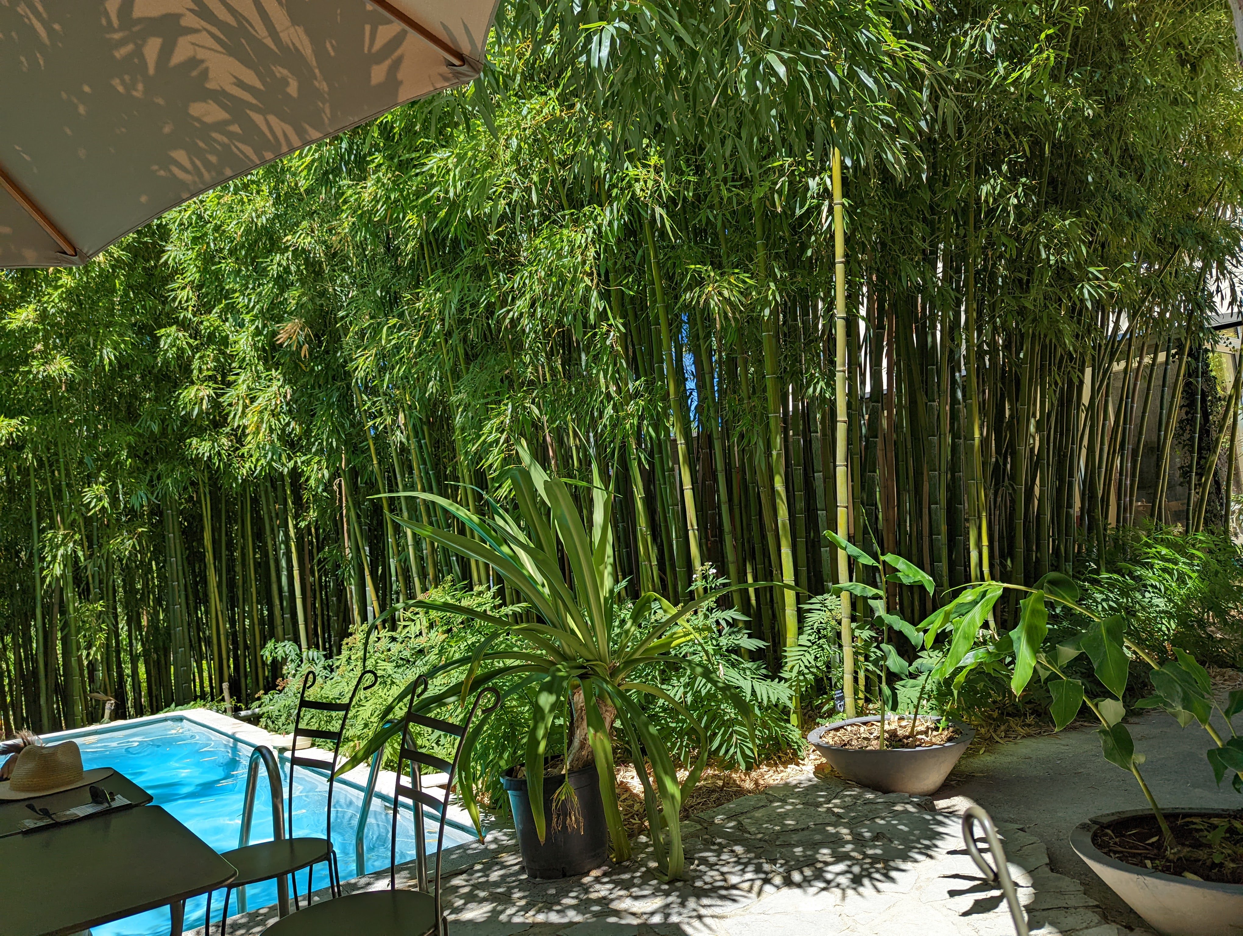 Photo n° 3 de l'avis de ERIC.A fait le 09/08/2022 à 12:40