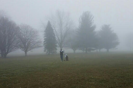 Golf Course «Carleton Glen Golf Club», reviews and photos, 13470 Grafton Rd, Carleton, MI 48117, USA