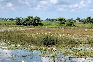 Baikka Beel image