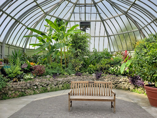 Anna Scripps Whitcomb Conservatory image 2