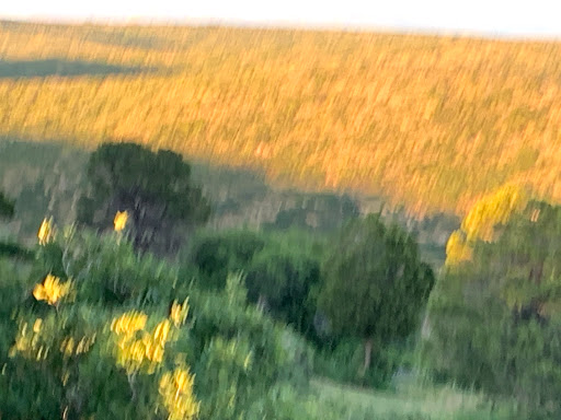 Hotel «Far View Lodge», reviews and photos