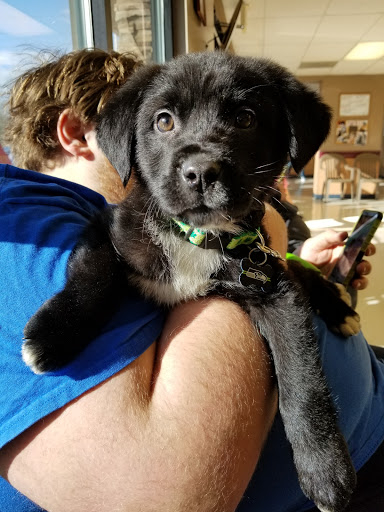 1115 S 348th St, Federal Way, WA 98003, USA