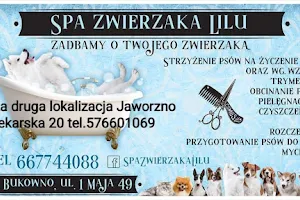 Spa zwierzaka Lilu, psi fryzjer, groomer , fryzjer dla psów, psi fryzjer Jaworzno, trymowanie image