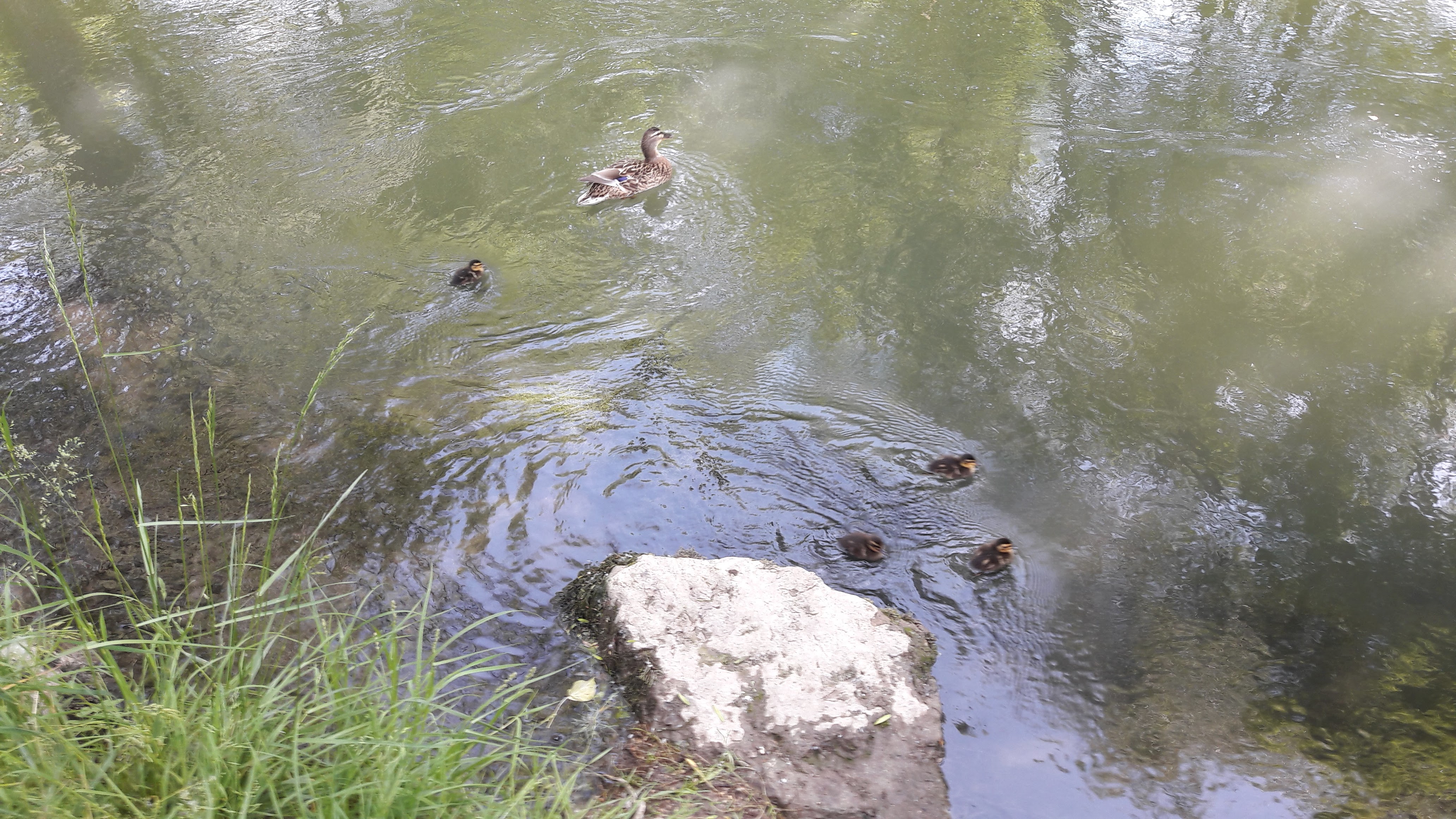 Photo n° 9 de l'avis de jipette.o fait le 20/05/2018 à 14:38