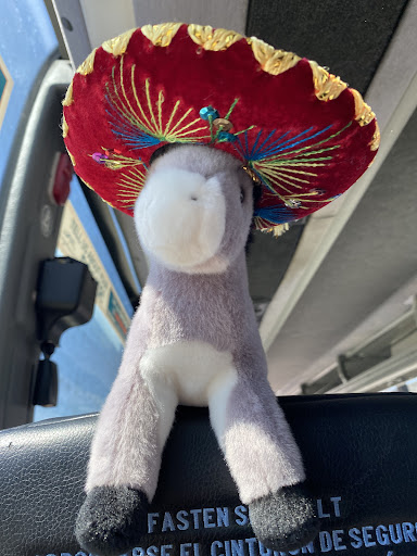 Shoe Store «Hibbett Sports», reviews and photos, 2819 West Expressway 83 #100, Harlingen, TX 78552, USA