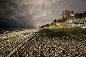 Canine Beach image