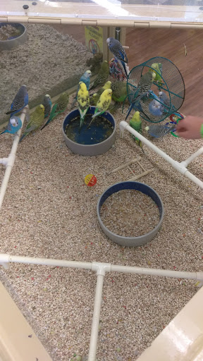 Pet Supply Store «Pet Supermarket, Inc.», reviews and photos, 3911 Lemmon Ave, Dallas, TX 75219, USA