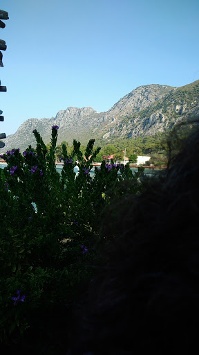 Lotus Marina Restaurant