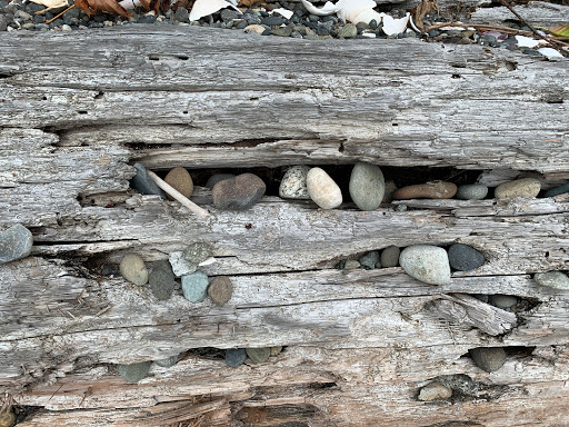 Park «Marine View Park», reviews and photos, 20945 Marine View Dr SW, Normandy Park, WA 98166, USA