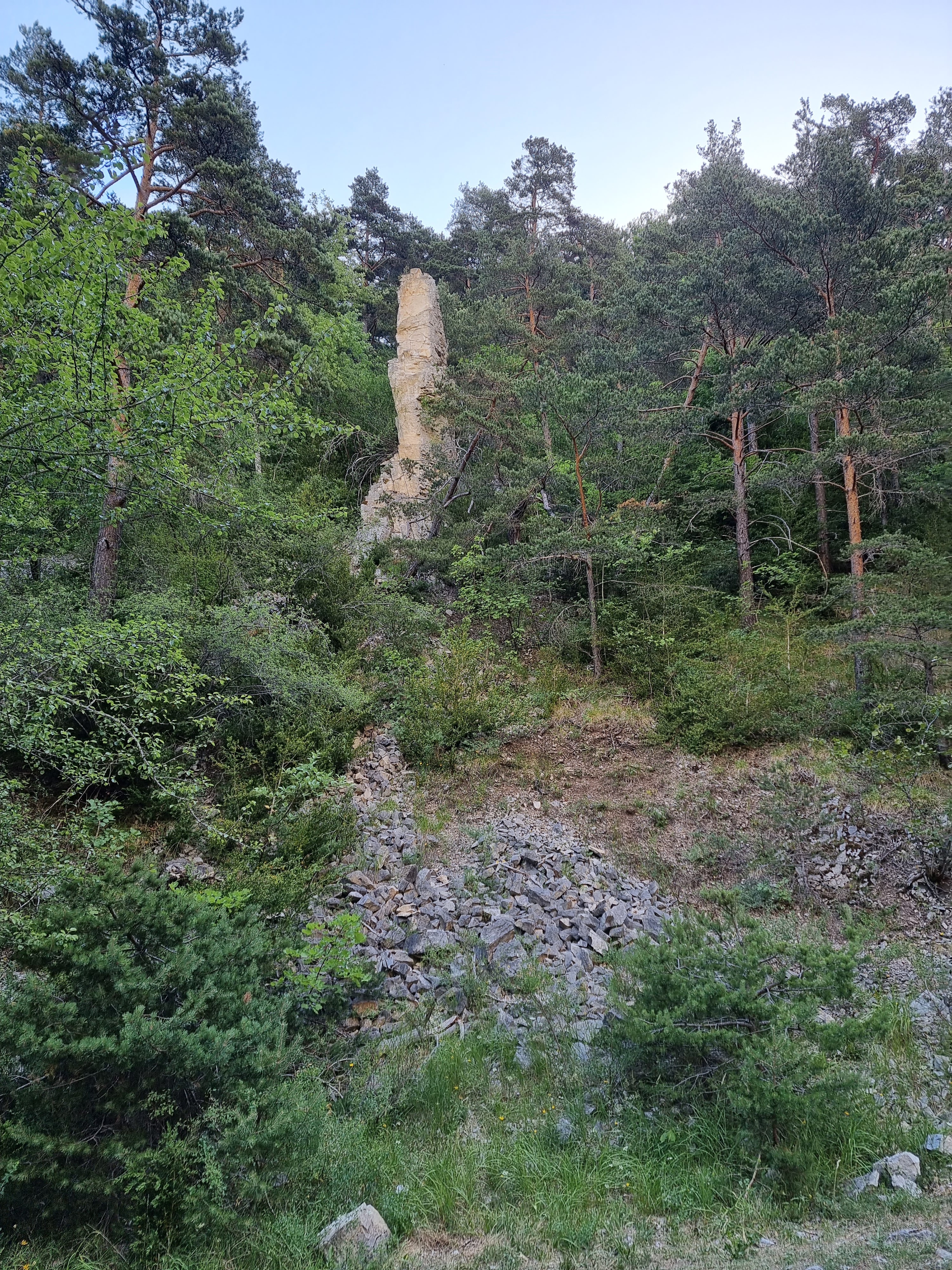 Photo n° 6 de l'avis de Viktória.i fait le 16/07/2022 à 13:58