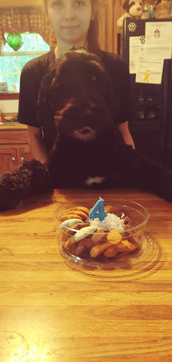 Mexican Restaurant «QDOBA Mexican Eats», reviews and photos, 1570 N Dixie Hwy #100, Elizabethtown, KY 42701, USA