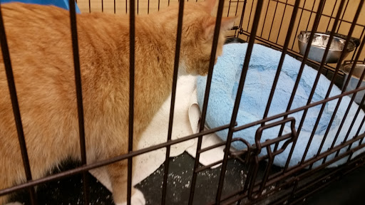 Pet Supply Store «Pet Supplies Plus», reviews and photos, 311 Sagamore Pkwy N, Lafayette, IN 47904, USA