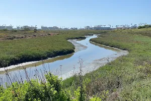 Tijuana River Estuary image