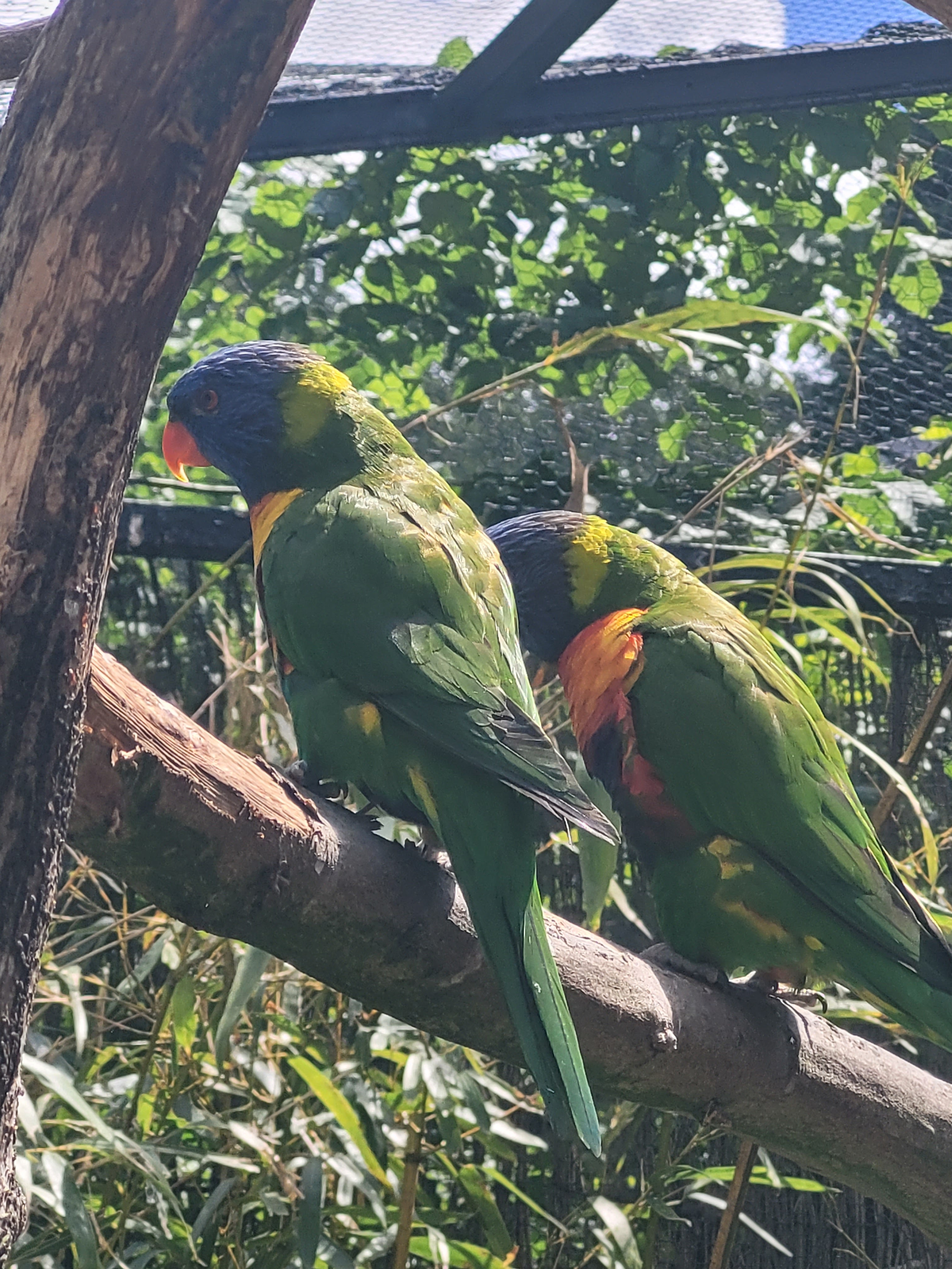 Photo n° 26 de l'avis de Vero.o fait le 14/06/2022 à 11:47