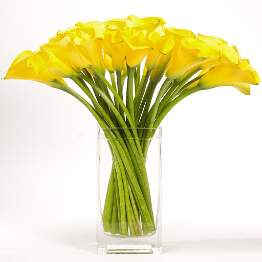 Black Tulip Flowers LLC - Flower Delivery Dubai