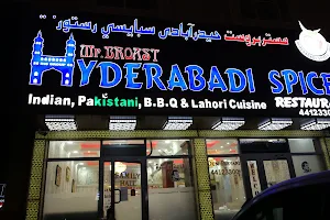 Indo Hyderabadi Spices image