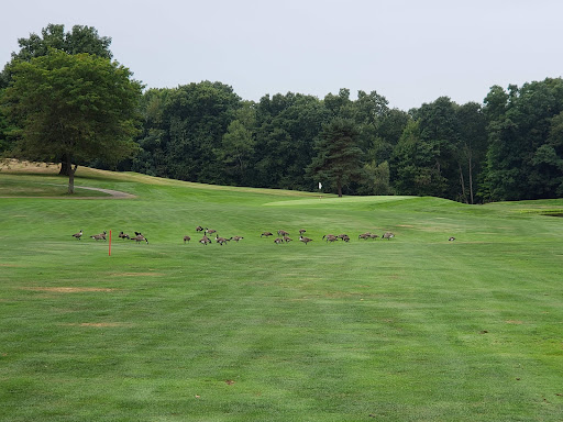Golf Course «Rolling Acres Golf Course», reviews and photos, 350 Achortown Rd, Beaver Falls, PA 15010, USA
