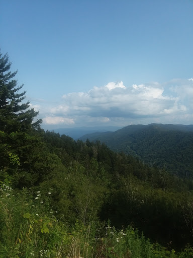 Appalachian Trail to Indian Gap