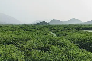 Panamarathupatti Lake image