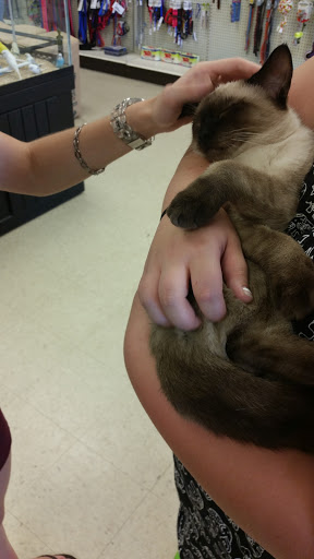 Pet Supply Store «Pet Palace Inc», reviews and photos, 253 Scranton Carbondale Hwy, Scranton, PA 18508, USA