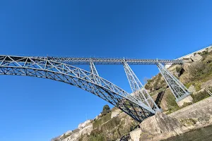 Bridges Cruise image