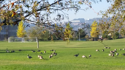 Park «Bay Meadows Park», reviews and photos, 301 E 28th Ave, San Mateo, CA 94403, USA