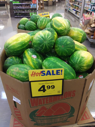 Grocery Store «Food Lion», reviews and photos, 30214 Sussex Hwy Unit 5, Laurel, DE 19956, USA