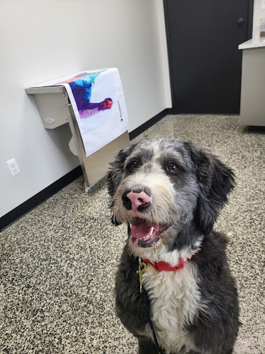 Lakeville Animal Clinic image