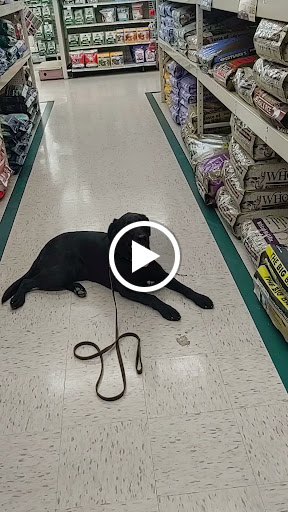 Farm Equipment Supplier «Family Farm & Home», reviews and photos, 66875 Gratiot Ave, Richmond, MI 48062, USA