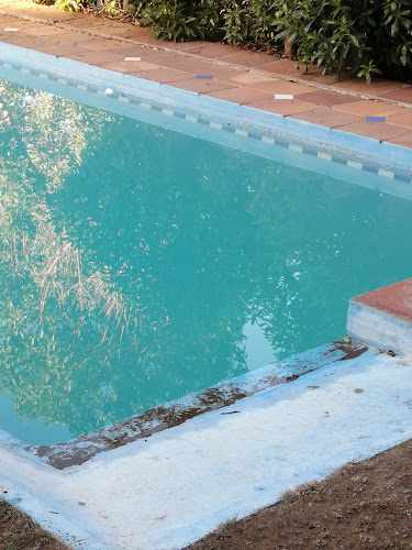 Comentarios y opiniones de Hotel Green en Marbella