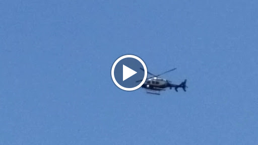 Florist «Buds & Blooms Florist», reviews and photos, 7407 Amboy Rd, Staten Island, NY 10307, USA