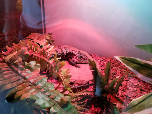 Tourist Attraction «IMAG History & Science Center (formerly Imaginarium Science Center)», reviews and photos, 2000 Cranford Ave, Fort Myers, FL 33916, USA