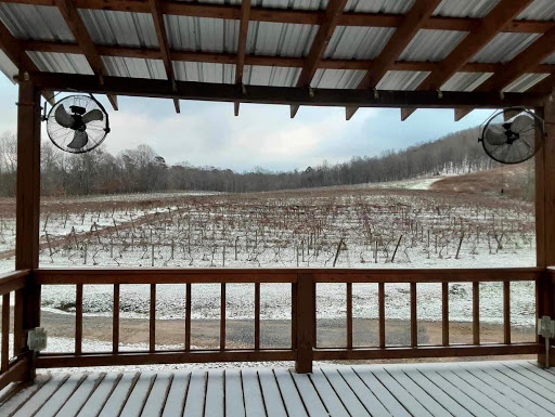 Winery «Cartecay Vineyards», reviews and photos, 5704 Clear Creek Rd, Ellijay, GA 30536, USA