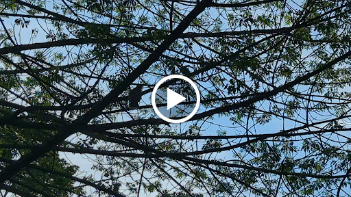 Park «Winnekenni Park», reviews and photos, 347 Kenoza Ave, Haverhill, MA 01830, USA