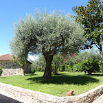 Photo n°5 de l'avis de Florin.l fait le 18/09/2020 à 19:30 sur le  A Carvalheira à Fornelos