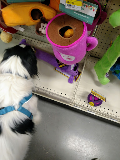 Pet Supply Store «Petsense Clemmons», reviews and photos, 4186 Clemmons Rd, Clemmons, NC 78012, USA