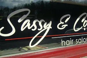 Sassy & Company Hair Salon image