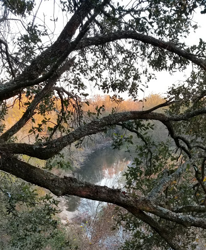 Nature Preserve «Frenchtown Rd Conservation Area», reviews and photos, 17819 Frenchtown Rd, Central, LA 70739, USA