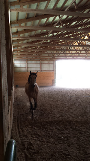 Horse Boarding Stable «Crown Haven Center», reviews and photos, 5282 County Rd W 250 S, Russiaville, IN 46979, USA