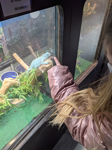 Pet Store «Inland Reef Pet Store», reviews and photos, 817 Cross Lanes Dr, Cross Lanes, WV 25313, USA