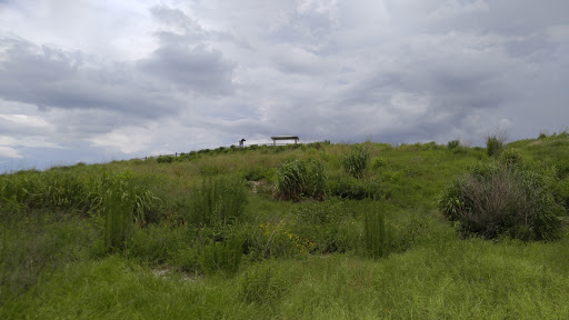 Nature Preserve «Cockroach Bay Aquatic Preserve», reviews and photos, 3839 Gulf City Rd, Ruskin, FL 33570, USA