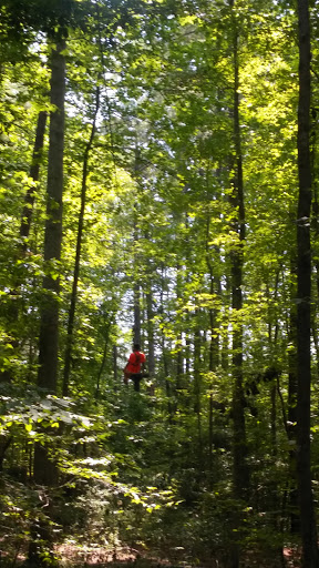 Recreation Center «Go Ape Zip Line & Treetop Adventure - Freedom Park», reviews and photos, 5537 Centerville Rd, Williamsburg, VA 23188, USA