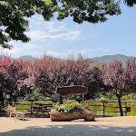 Photo n°1 de l'avis de Giuliana.e fait le 17/08/2022 à 14:00 sur le  Ristorante I Due Laghi à Firenzuola