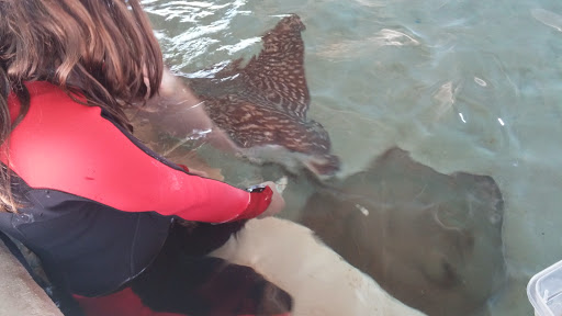 Aquarium «Florida Keys Aquarium Encounters», reviews and photos, 11710 Overseas Hwy, Marathon, FL 33050, USA