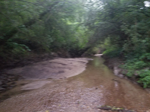 Nature Preserve «Daniel Johnson Nature Preserve», reviews and photos, 1301 Beech Valley Rd NE, Atlanta, GA 30306, USA