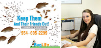 BugLife Pest Control - Photo 7 - Car repair in Coral Springs, FL, Fort Lauderdale