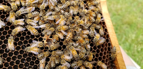 Appalachian Bee Farm