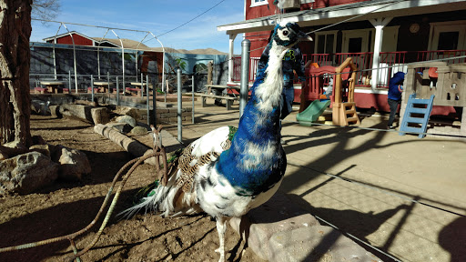 Zoo «Sierra Safari Zoo», reviews and photos, 10200 N Virginia St, Reno, NV 89506, USA